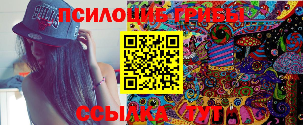 Псилоцибиновые грибы мицелий Лесной