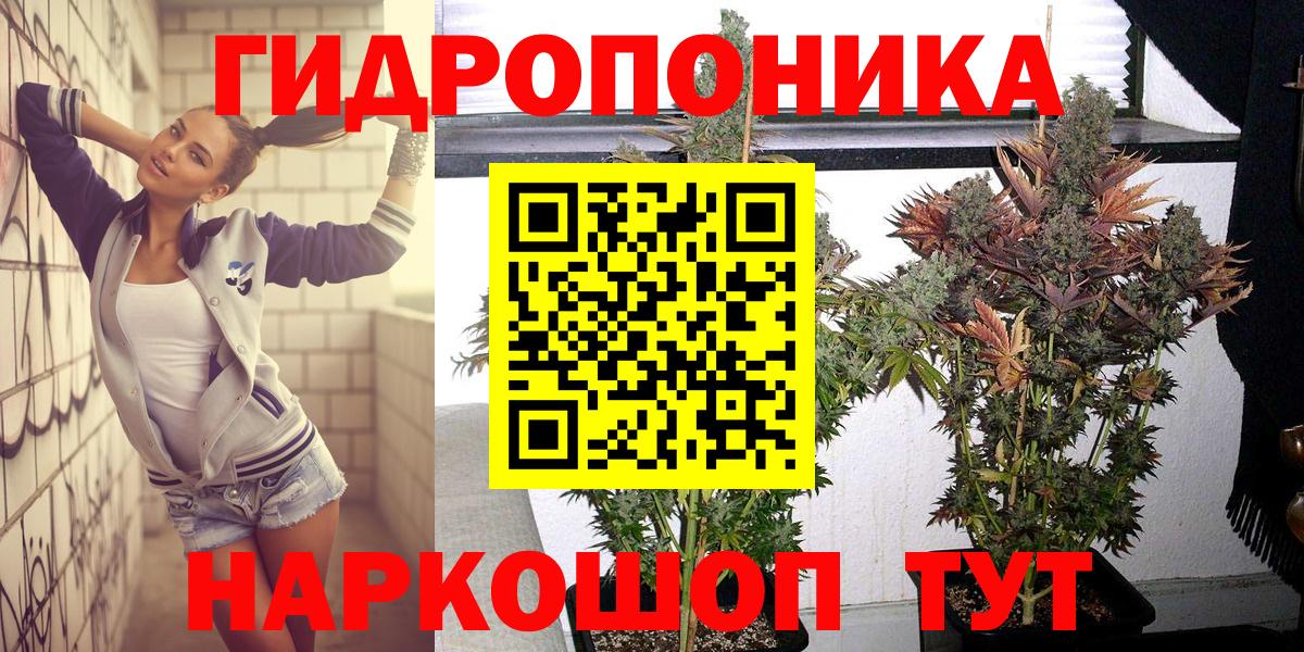 Конопля Bruce Banner Лесной